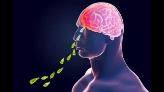 25-year-old man dies from infection by fatal brain-eating amoeba.