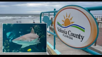 A teenage boy was bitten by a shark while participating in a lifeguard training camp and diving into the water.