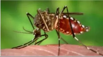 Officials advised DMs to pinpoint areas with high occurrences of dengue.