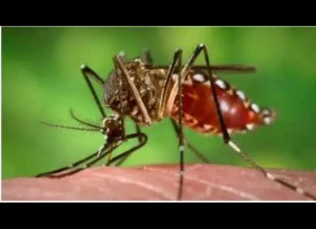 Officials advised DMs to pinpoint areas with high occurrences of dengue.
