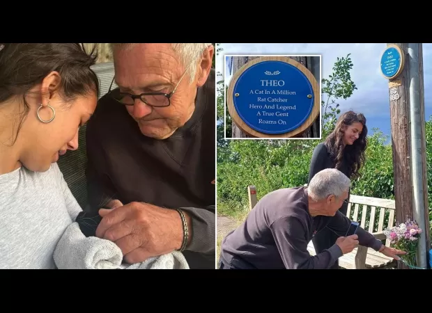 A town honors a well-known cat that was hit by a car with a blue plaque.