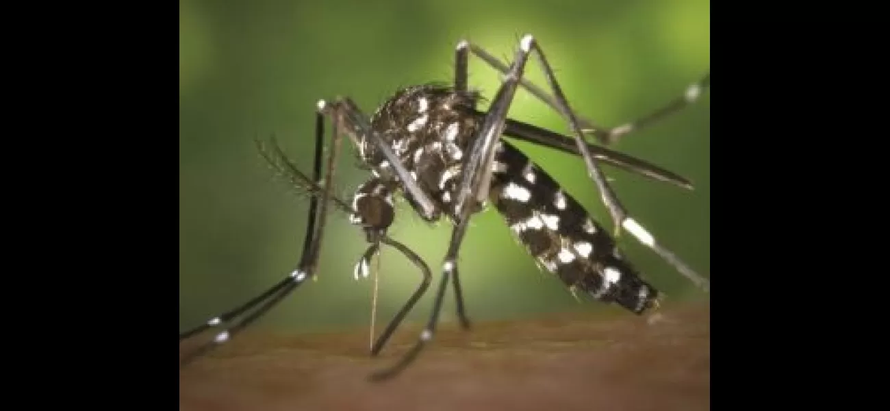 Dengue cases increasing in Sundargarh, Rourkela most affected.