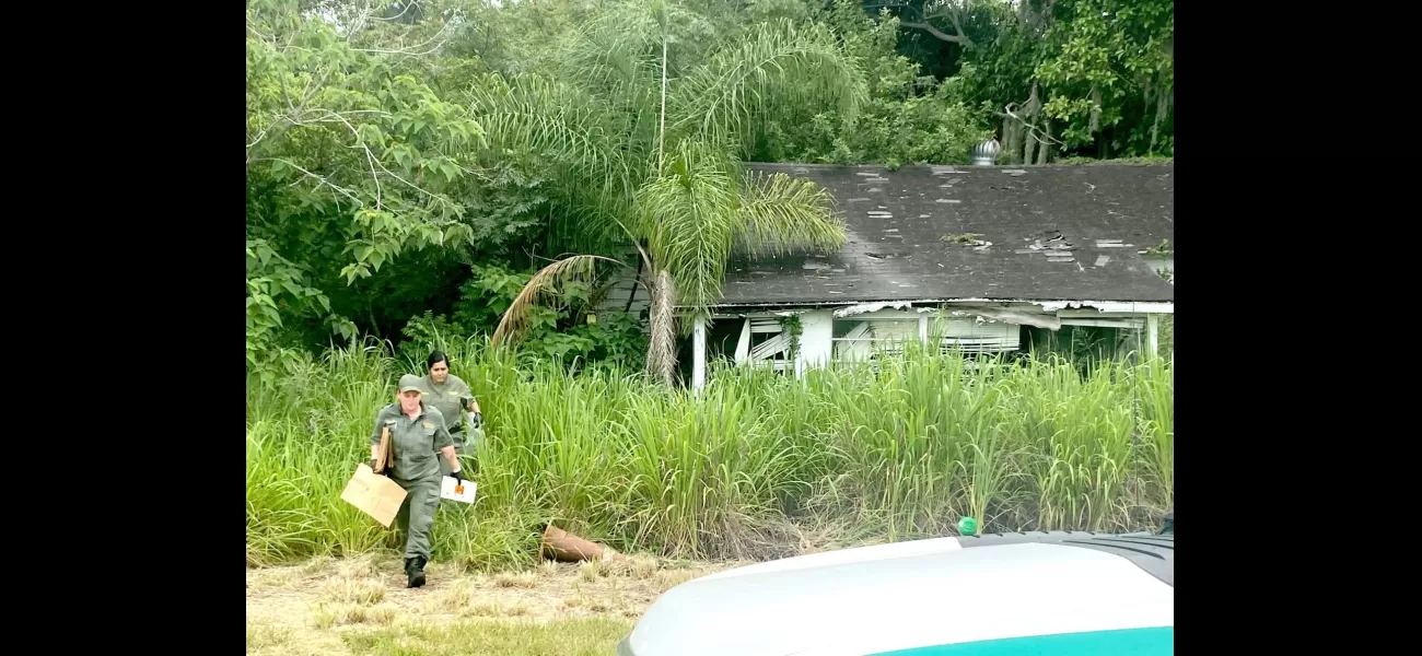 Boys discover human bones while playing in deserted house.