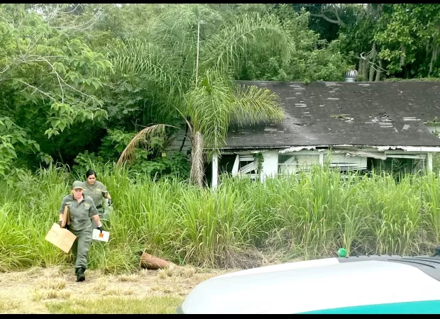 Boys discover human bones while playing in deserted house.