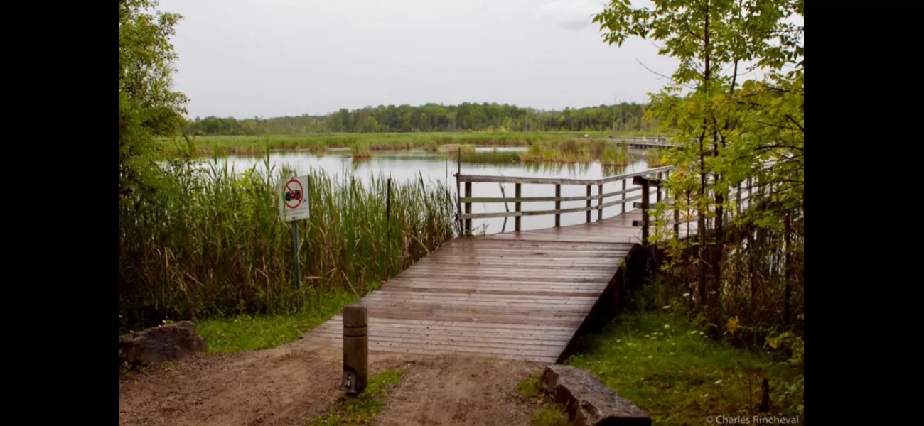 Montreal pays tribute to children who died in Little Burgundy's Negro community by drowning.
