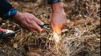 Top way to start a campfire