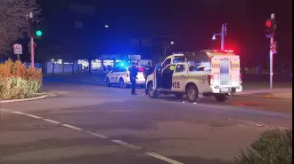 A woman in Adelaide was taken into custody for reportedly attacking a man with a metal pole.