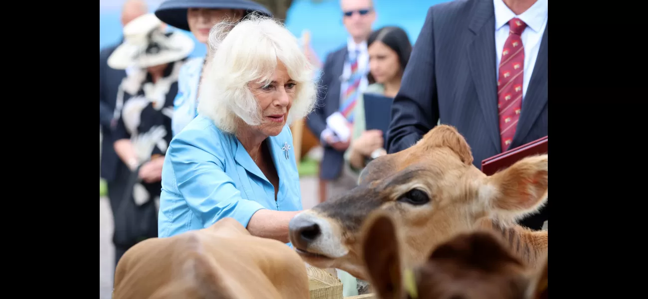 Queen Camilla, once despised, has now won over the hearts of the British people and is no longer seen as a wicked stepmother.