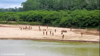 Amazon's isolated tribe comes out after loggers invade their home.