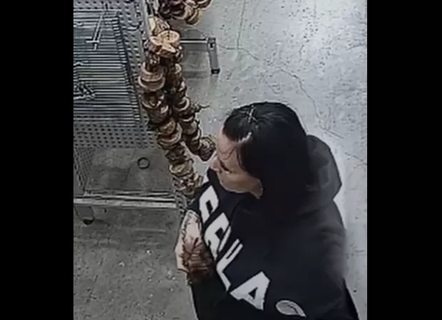 Pet store in Queensland seeks help from public to find missing guinea pig named 'Nibbles' through CCTV footage.