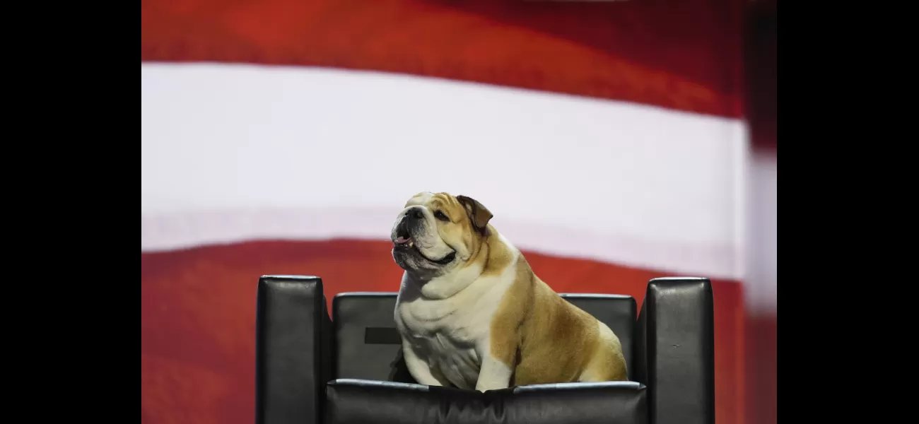 Discover the unexpected standout of the 2020 Republican National Convention.
