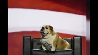 Discover the unexpected standout of the 2020 Republican National Convention.