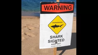 Perth beach authorities issue caution following shark attack.