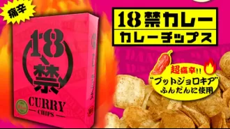 14 Japanese students hospitalized after eating extremely hot chips
