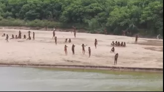 Remote Amazon tribe seen where loggers operate