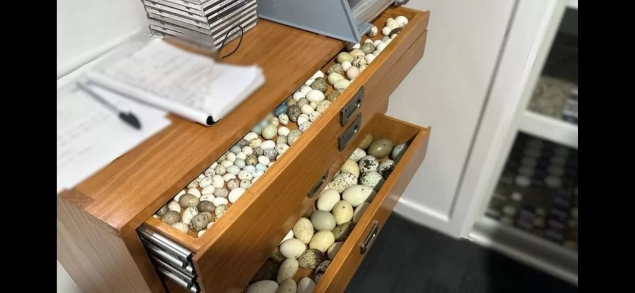 Thousands of eggs from threatened birds confiscated.