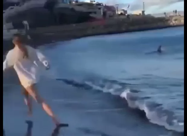 Swimmers panic as huge shark approaches popular UK beach destination.