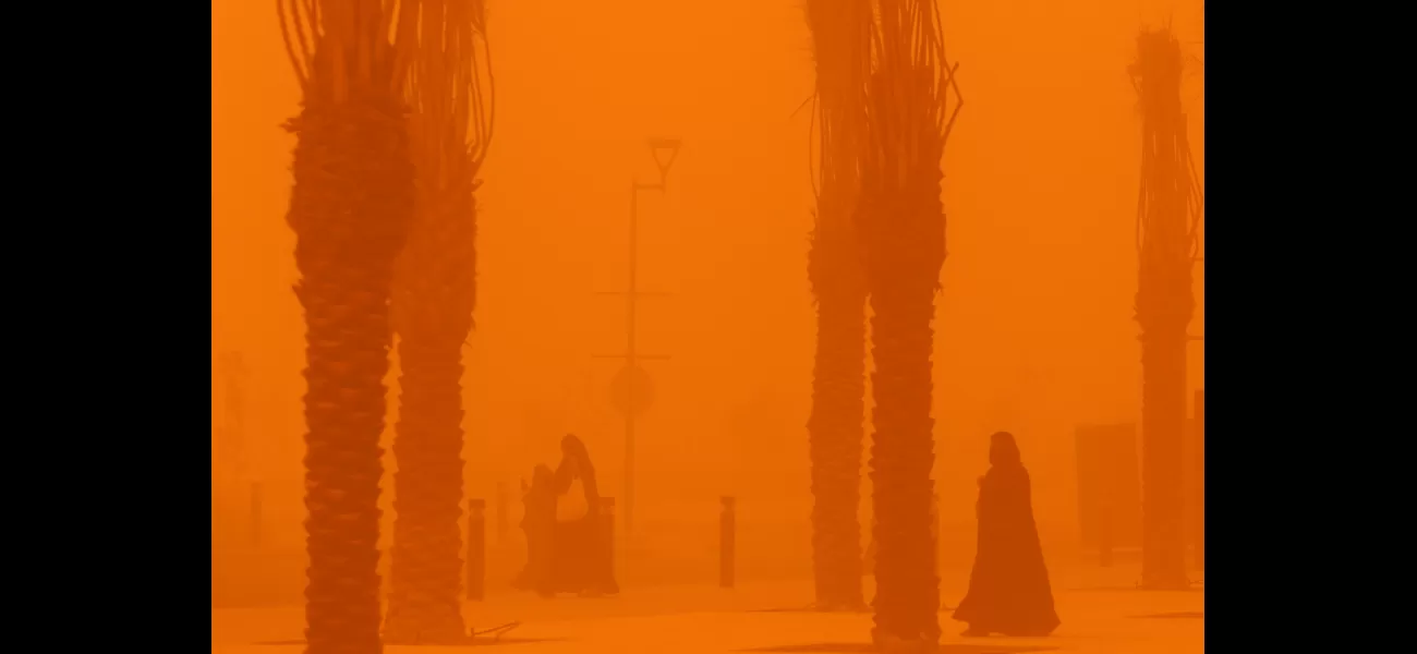 Kuwait City experiences extreme heat at 54C, causing birds to fall from the sky.