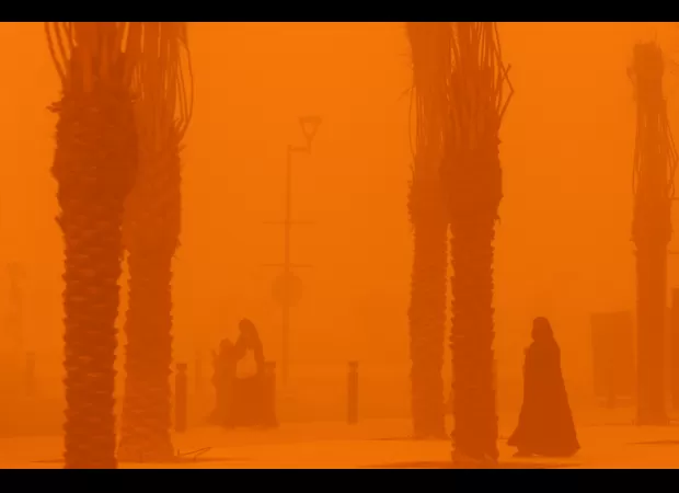 Kuwait City experiences extreme heat at 54C, causing birds to fall from the sky.