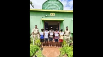 Five people caught in Similipal Sanctuary for illegal timber trading