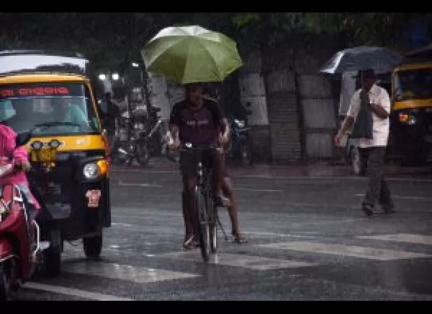 Highlights from the Indian state of Odisha, captured in a collection of photographs. 

Snapshot of Odisha: A photo compilation showcasing the state's top moments.