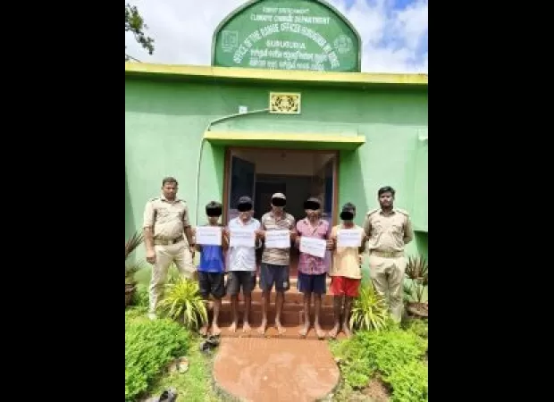 Five people caught in Similipal Sanctuary for illegal timber trading