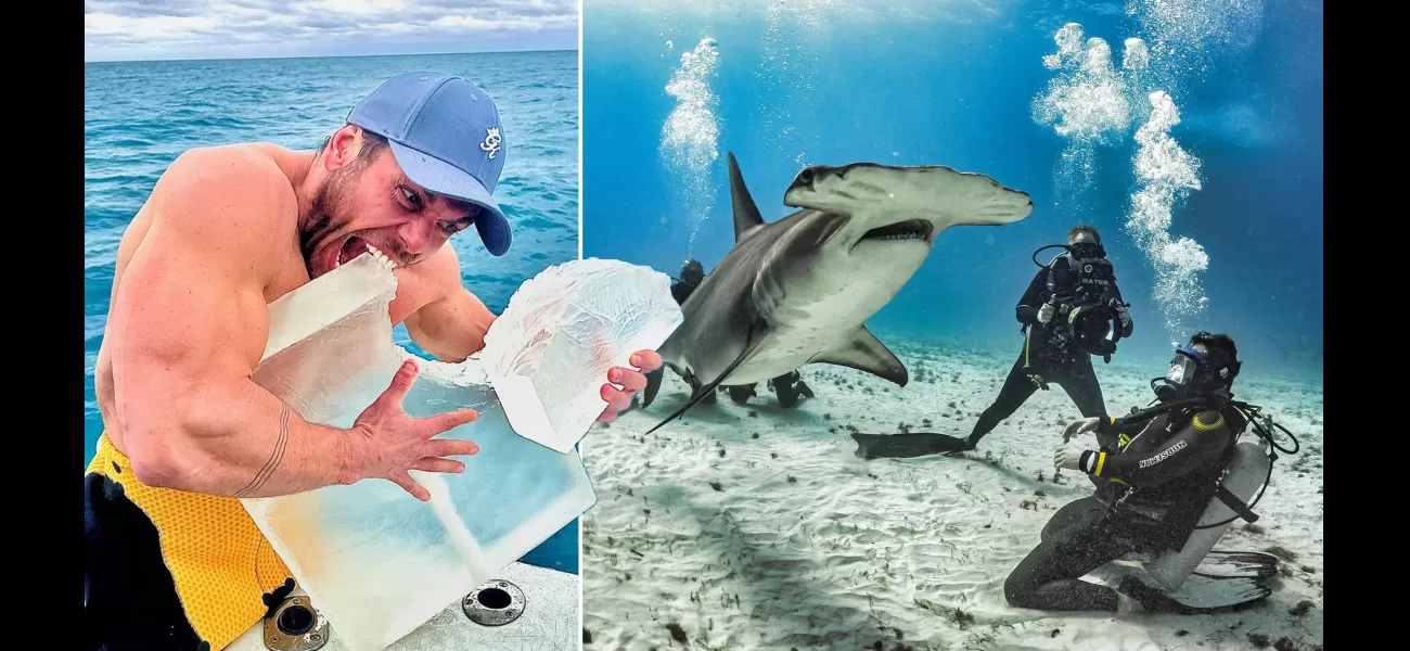 Man tries to copy tiger shark's eating habits by consuming 41,000 calories within 48 hours.