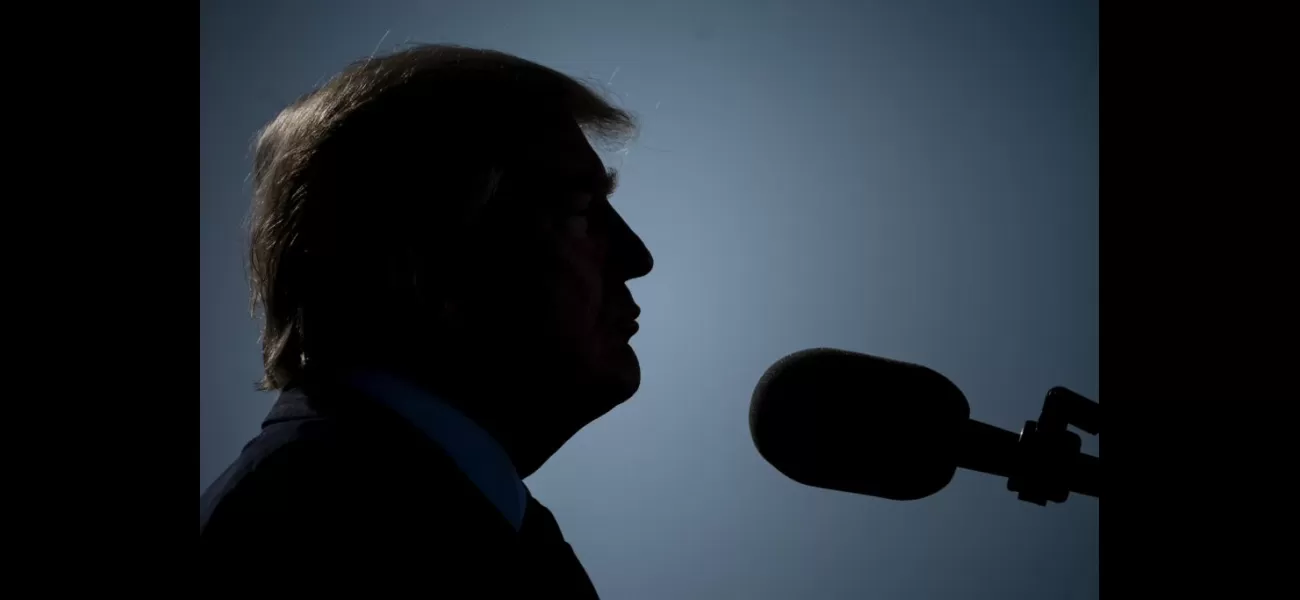 Trump promotes harmful theory that immigrants will harm Black Americans, causing division.