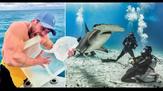 Man tries to copy tiger shark's eating habits by consuming 41,000 calories within 48 hours.