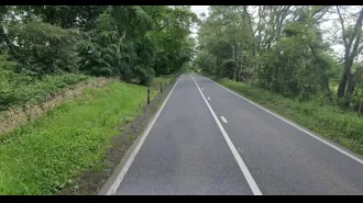 4 men died in car crash with tree in early morning hours.