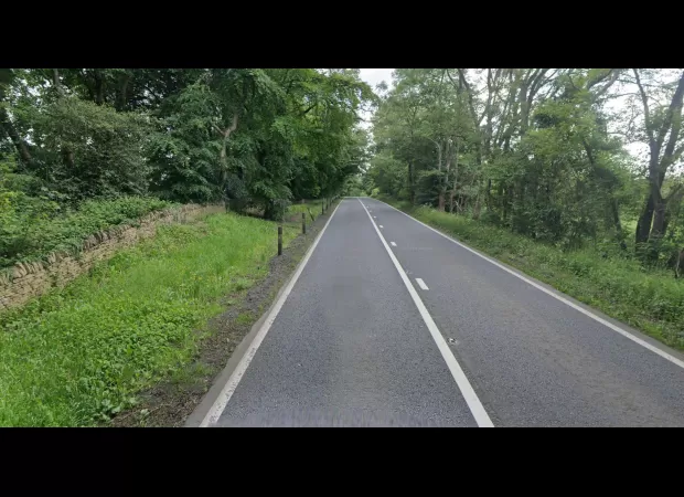 4 men died in car crash with tree in early morning hours.