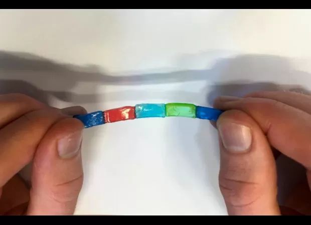 Electric eels helped develop epilepsy treatment.