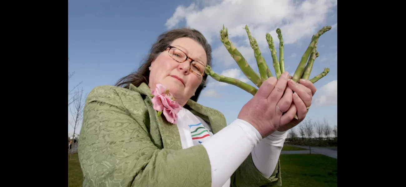 This asks if an asparagus foretold Joe Biden's campaign mishap.