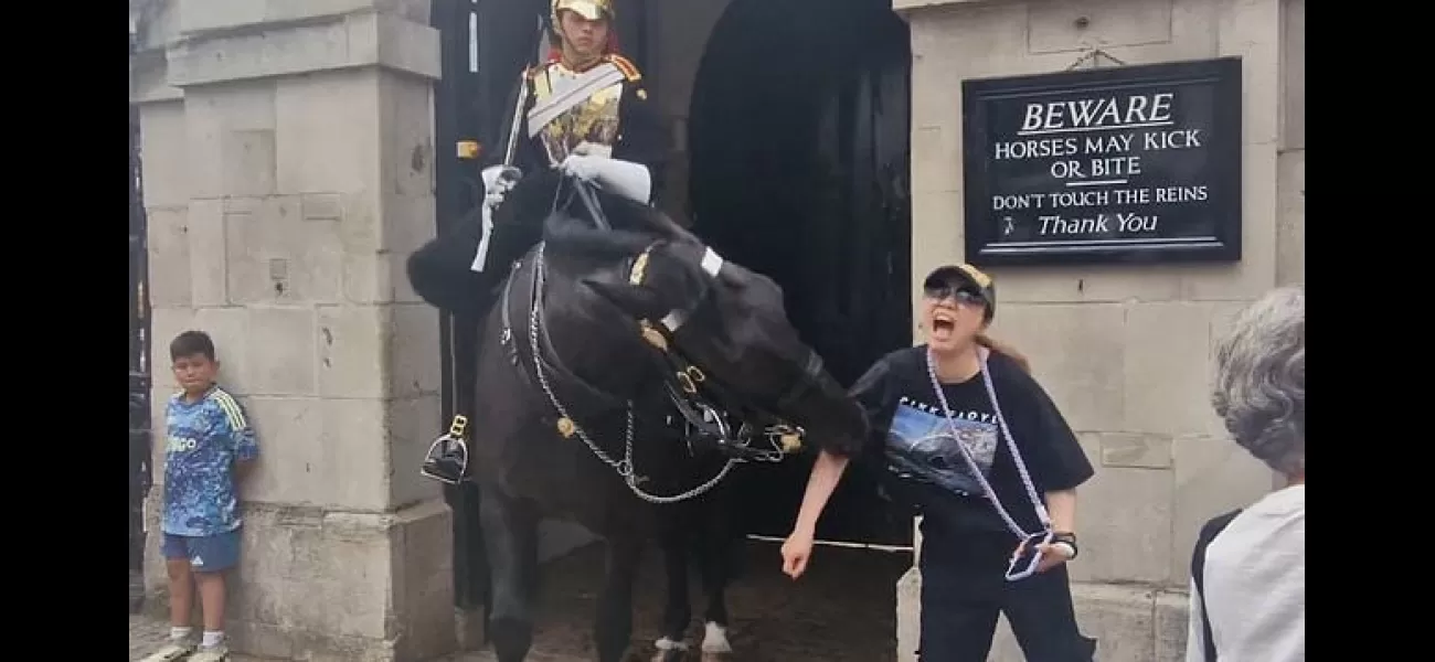 Horse bite causes tourist to collapse in London