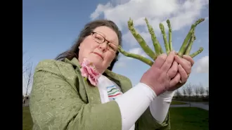 This asks if an asparagus foretold Joe Biden's campaign mishap.