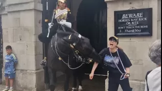 Horse bite causes tourist to collapse in London