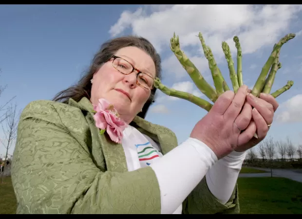 This asks if an asparagus foretold Joe Biden's campaign mishap.