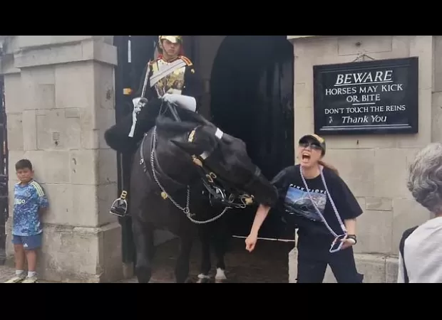 Horse bite causes tourist to collapse in London
