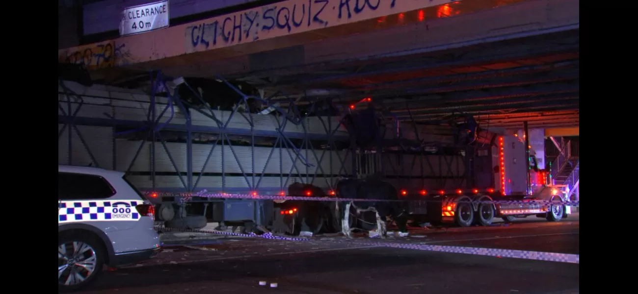 Cows hurt in Melbourne bridge accident.