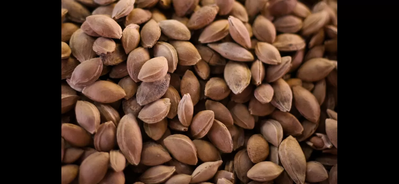 A favorite nutty item pulled from shelves due to risk of cyanide release