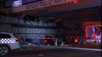 Cows hurt in Melbourne bridge accident.