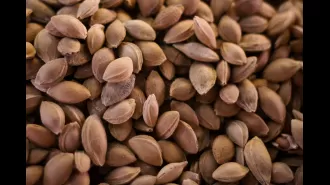 A favorite nutty item pulled from shelves due to risk of cyanide release