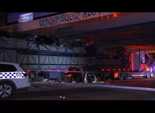 Cows hurt in Melbourne bridge accident.