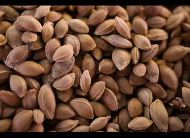 A favorite nutty item pulled from shelves due to risk of cyanide release