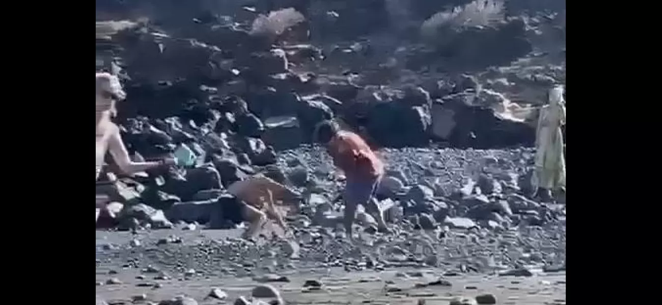 Man gets beaten by pole and hurt at famous beach spot.