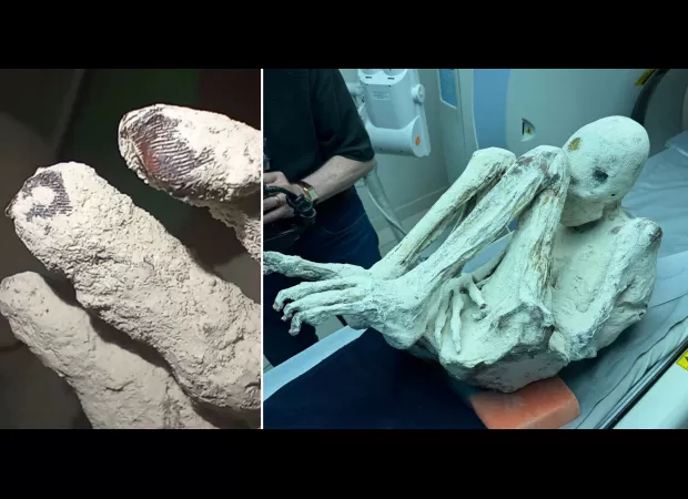 Mummies discovered in Peru with non-human fingerprints.
