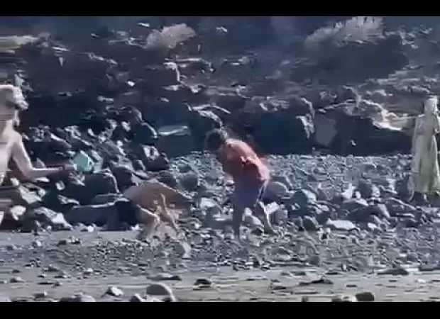 Man gets beaten by pole and hurt at famous beach spot.