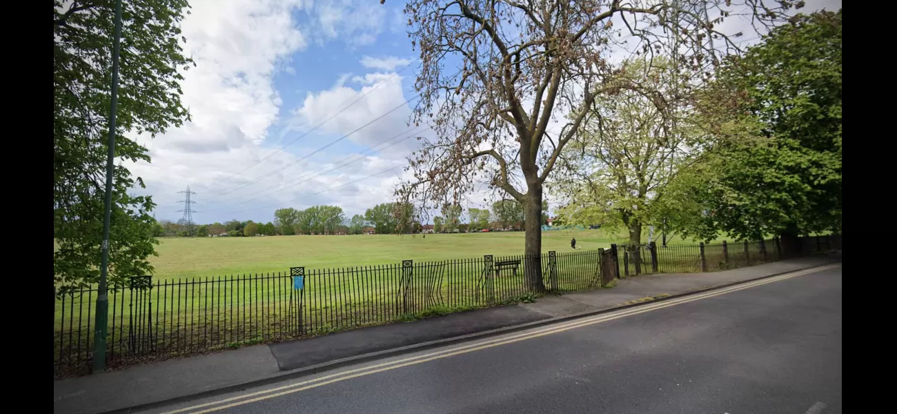 Organs discovered in container at park