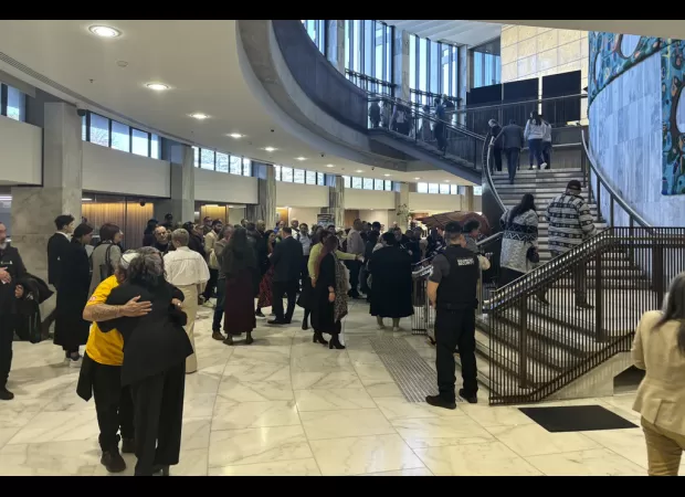 200,000 people in New Zealand were victims of abuse, deemed a 