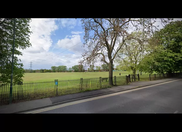 Organs discovered in container at park